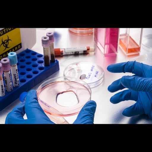 [0544-MBS516659-0.05MG] AapCas12b Active E. Coli Recombinant protein   0.05 mg